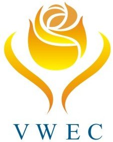 Read more about the article Chúc mừng sinh nhật tròn 20 tuổi của Hội đồng Doanh nhân nữ Việt Nam