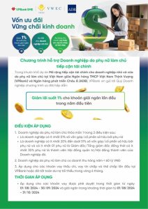 Read more about the article Chương trình hỗ trợ Doanh nghiệp do phụ nữ làm chủ tiếp cận tài chính